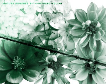 Nature flowers