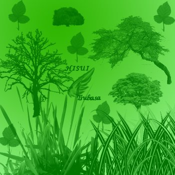 nature tree