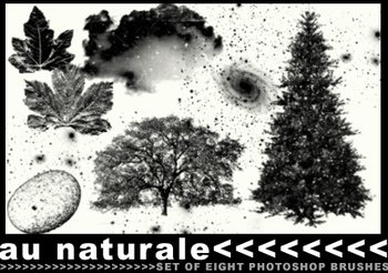 Nature trees