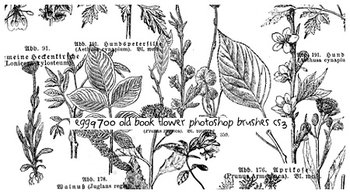old book flowers