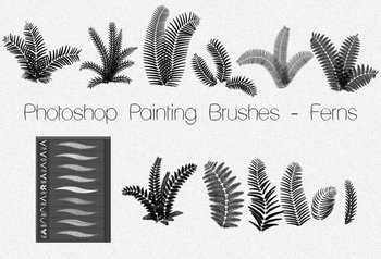 Painting ferns