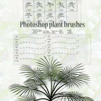 plant