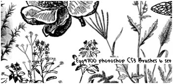plants