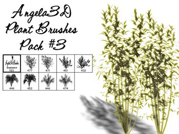 plants