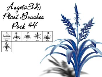 plants