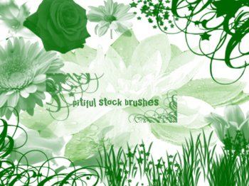 plants