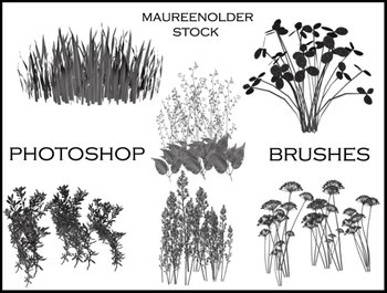 plants