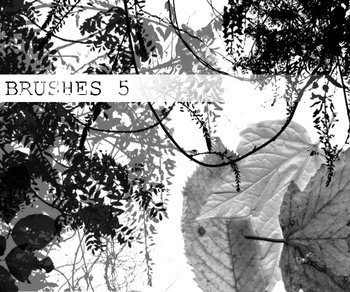 plants silhouettes