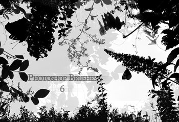 plants silhouettes
