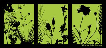 Spring silhouettes