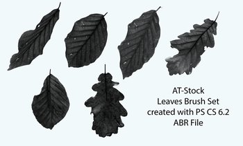 Stock-Leaves