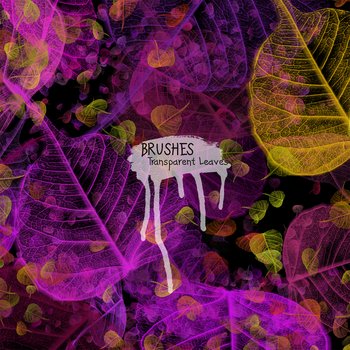 Transparent Leaves