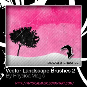 Vector Landscape