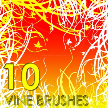 Vine