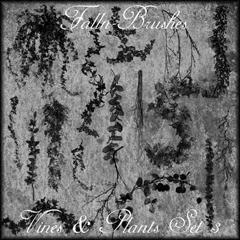 Vines And Plants