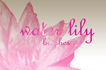 water lily