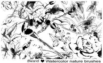 Watercolor nature