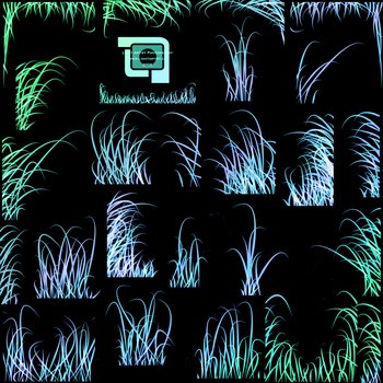 Wild Grass