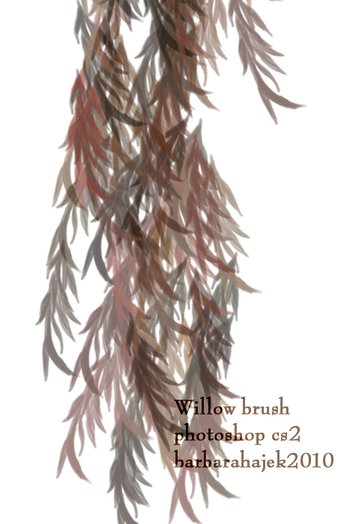 Willow