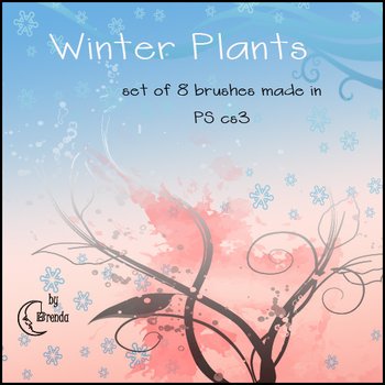Winter Plants