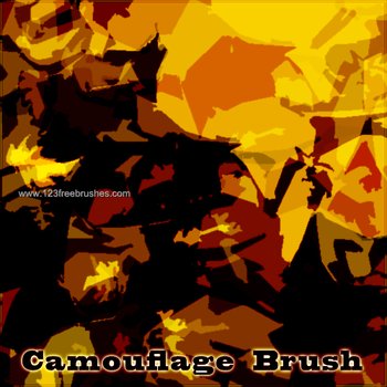 Camouflage Set
