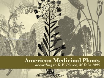 Medicinal Plants