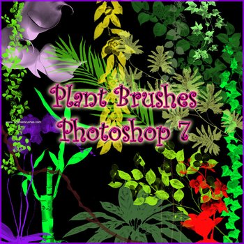 Nature Plants