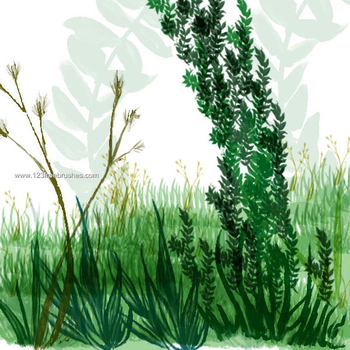 Plant Life