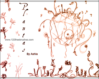 Plants