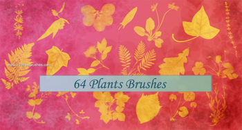 Plants