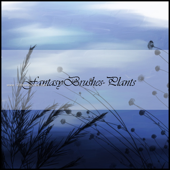 Plants