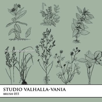 Plants
