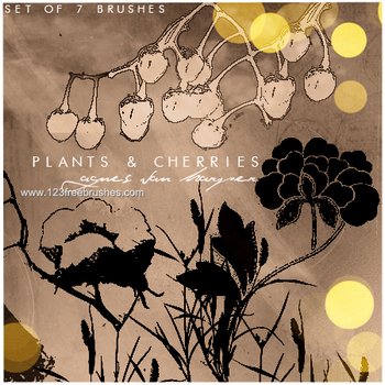 Plants and Cherries