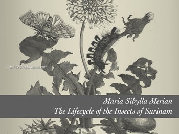 Plants and Their Pests