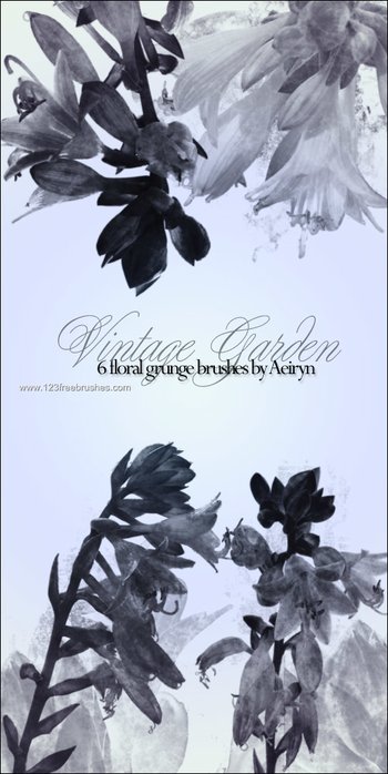 Vintage Garden