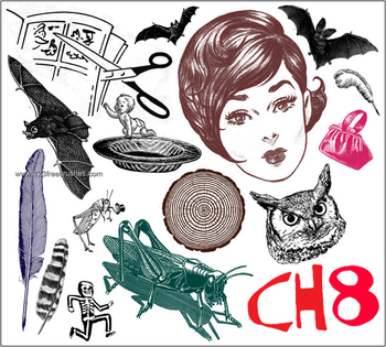 Drawing Girl and Feather