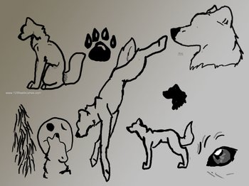 Drawing Wolf