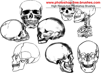 Dead Skulls