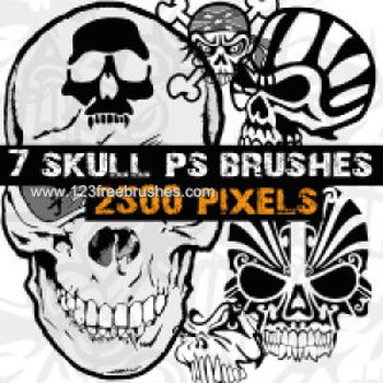 High-Resolution Skull