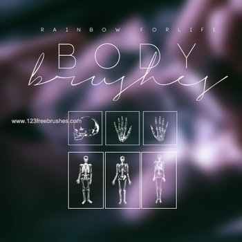 Human Body Skeleton Bones