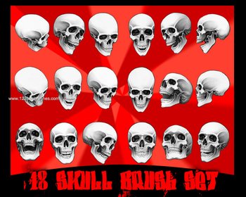 Human Skull