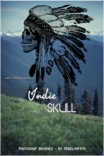 Indian Skull
