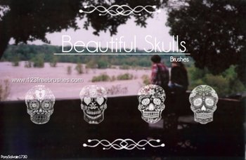 Mexican Skull