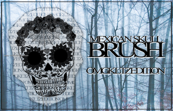 Mexican Skull