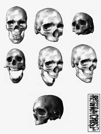 Seven Skulls