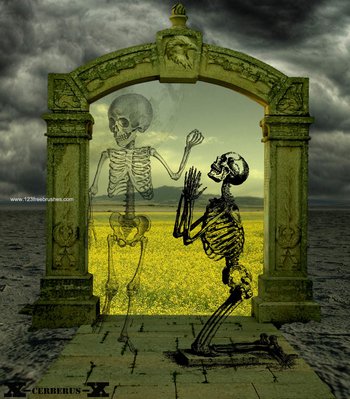 Skeleton