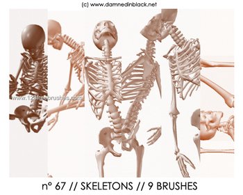 Skeletons