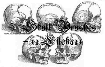Skull