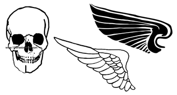 Skull and Wings