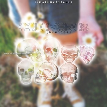 Skull Bones